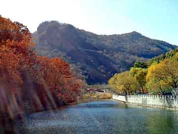 澳门天天彩期期精准平肖，天津排水板